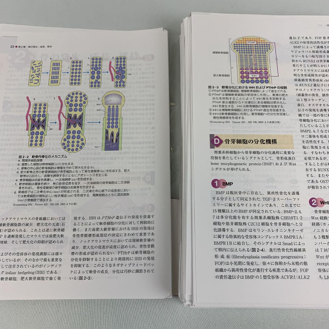 オンラインショップ 裁断済み専門書 な行02 - 本